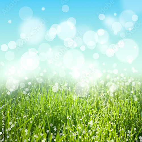 Abstract nature background with grass and sky bokeh lights