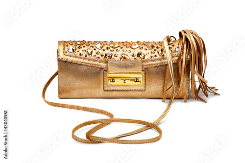 Golden female bag-1 photo