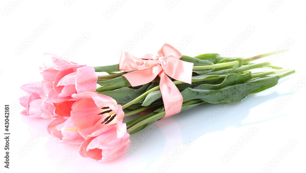 beautiful pink tulips isolated on white. beautiful pink tulips isolated on white.