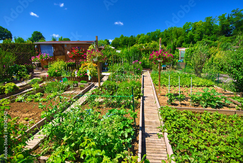 Potager bio. photo