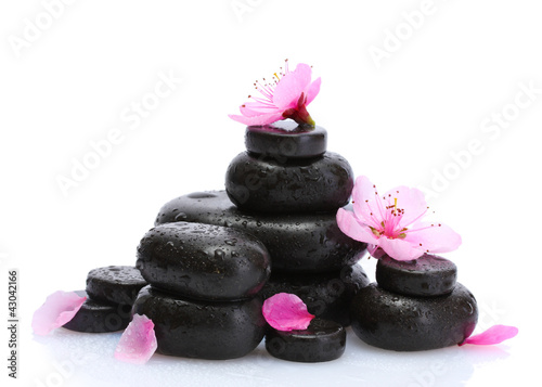 Spa stones with drops and pink sakura flowers isolated on