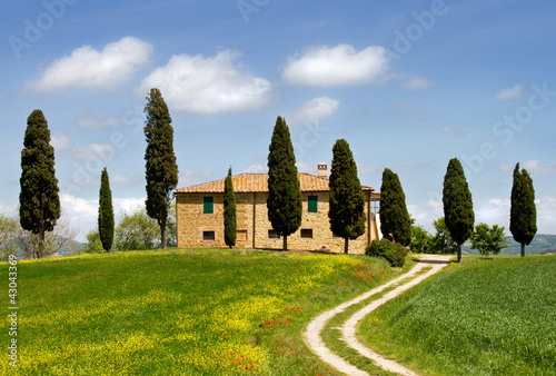 Landscape in Tuscany.