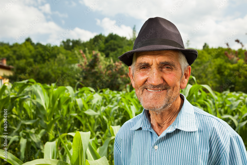 Senior farmer with a corn field in the background Senior farmer with a corn field in the background