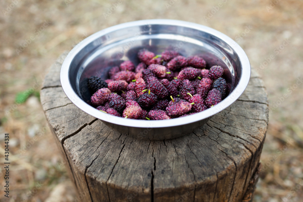 Bowl of mulberries