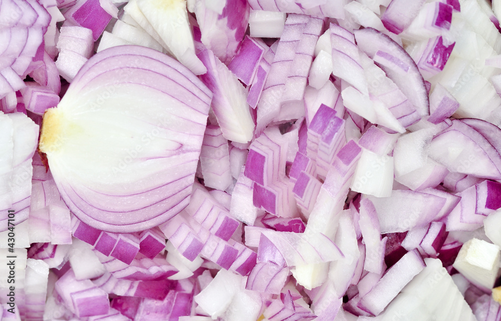 Chopped Onion Texture