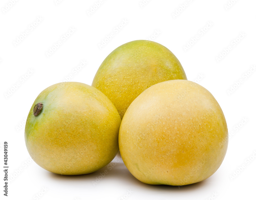 Three Mango Fruits