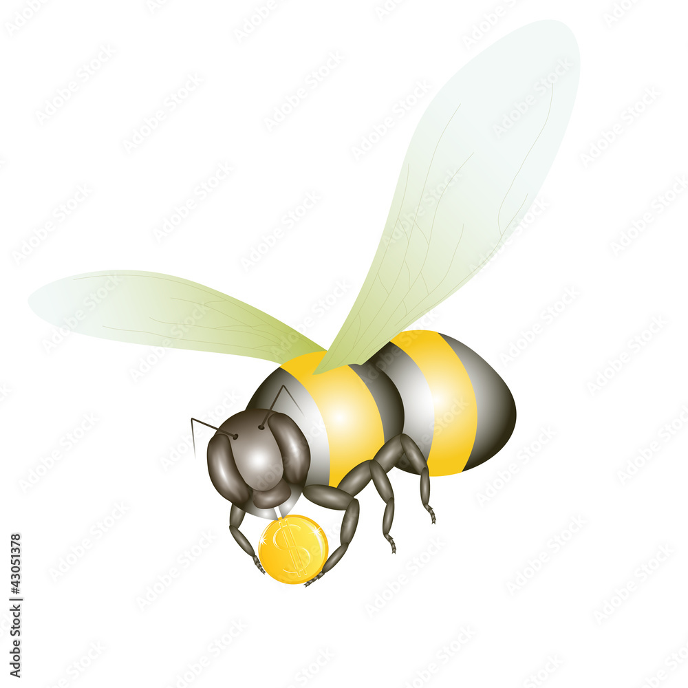 Fototapeta premium Bee