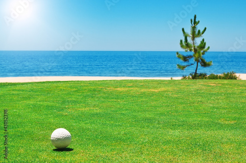Golf ball on green grass with the ocean. Portugal.