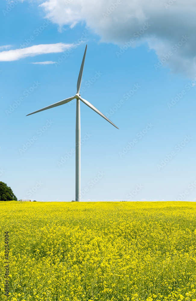 Windmill Windmill