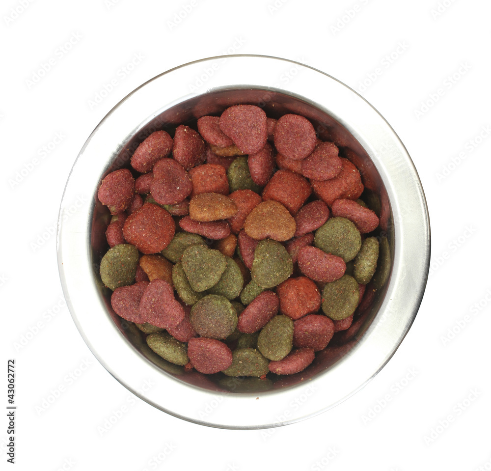 dry dog food in metal bowl isolated on white dry dog food in metal bowl isolated on white