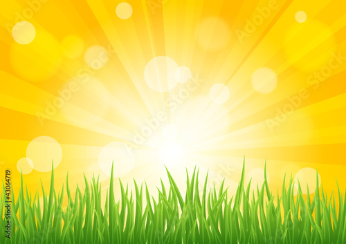Bright vector sun effect with green grass field