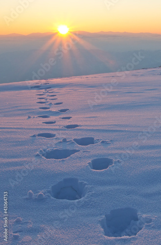 der sonne entgegen