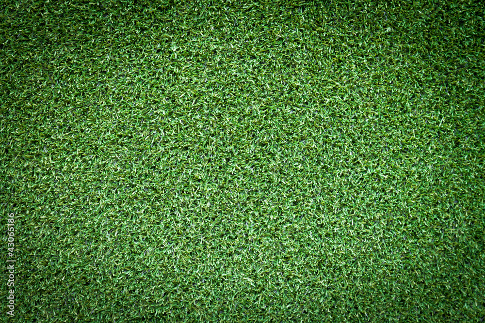 Obraz premium green grass