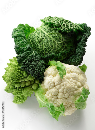 Savoy cabbage, Cauliflowerand Romanesco cabbage variety