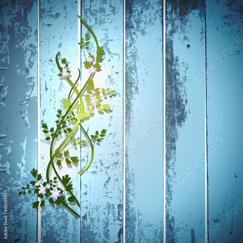 summer fence