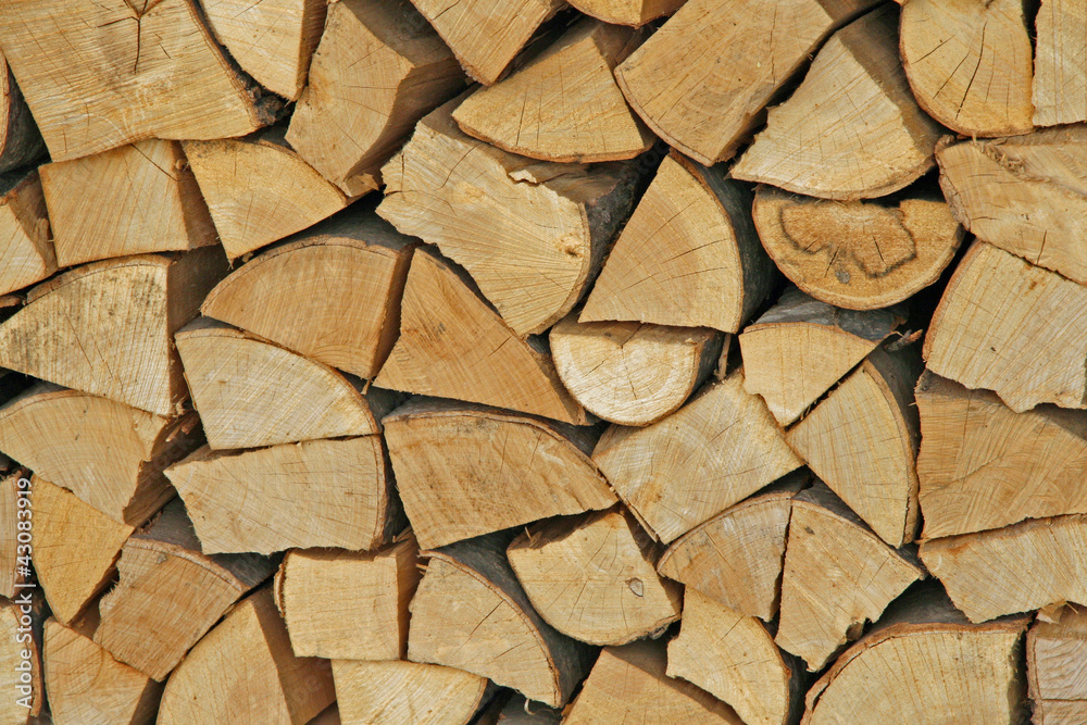 woodpile in the Woodshed ready to burn and heat woodpile in the Woodshed ready to burn and heat