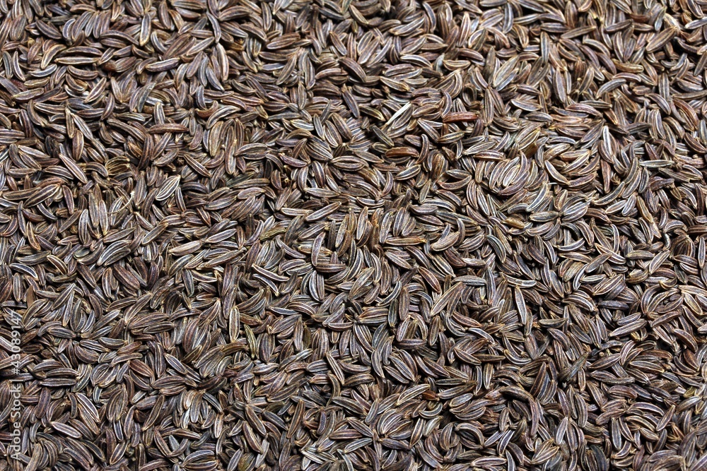 caraway background caraway background