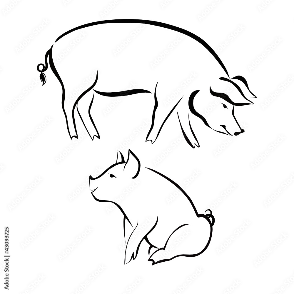 Fototapeta premium Pigs animals farm