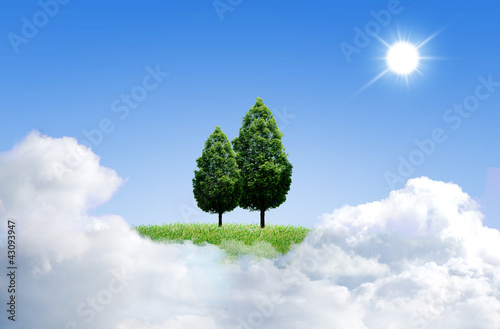 Green grass with tree and cloud sky background