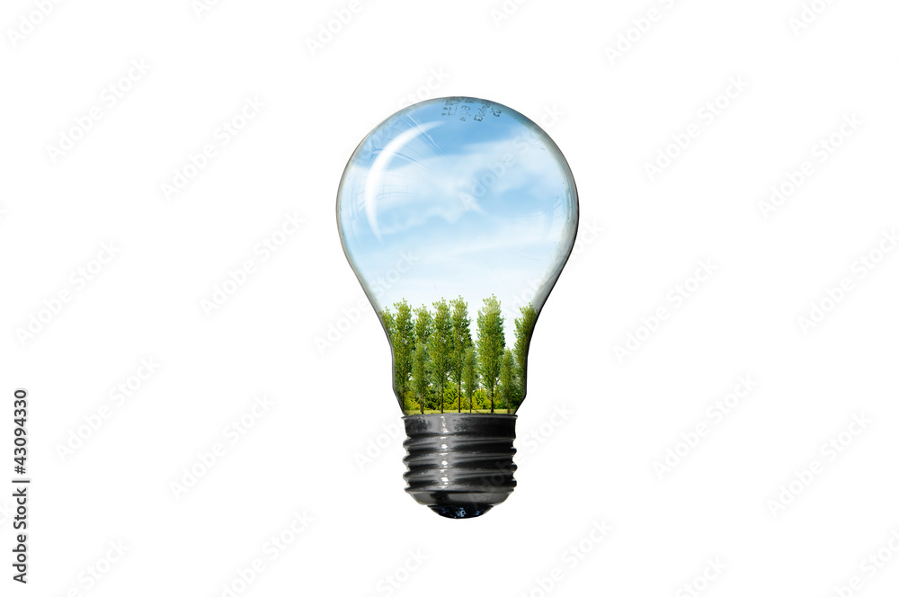 Bulb with green landscape isolated on white background , green e Bulb with green landscape isolated on white background , green e