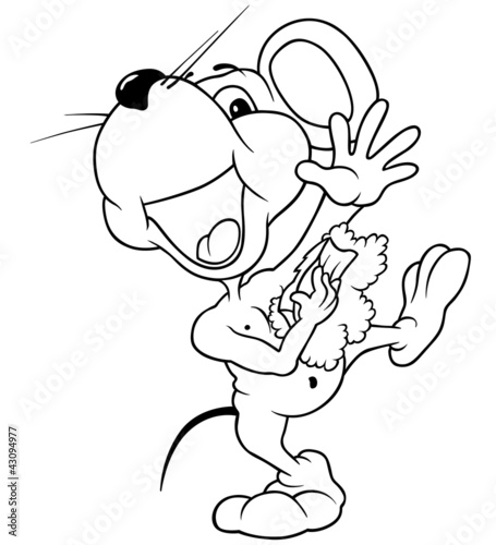 Washing Mouse - Black and W...