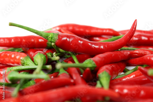 Red chili isolated on white