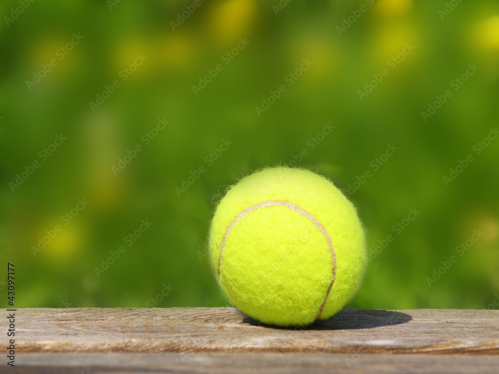 tennis ball und Wiese 44