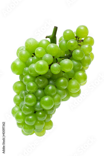 Grape isolated