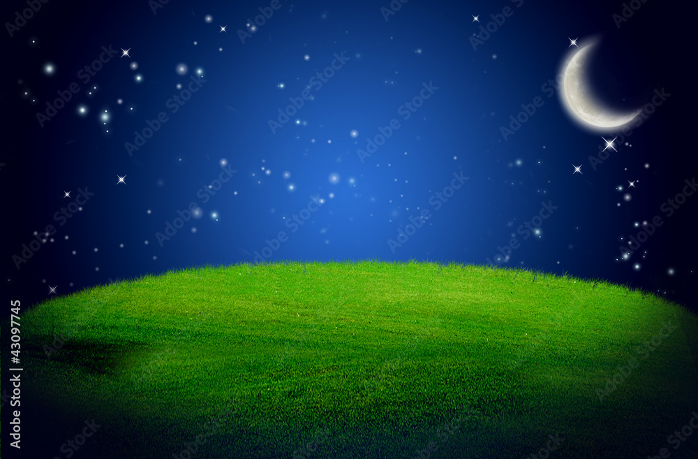 Fototapeta premium tropical land night with moon background