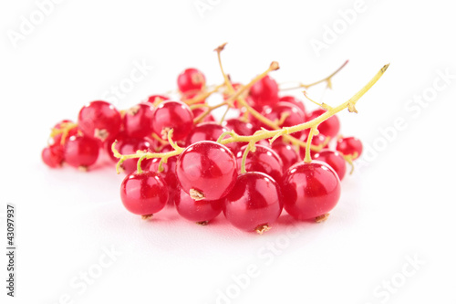 Wallpaper Mural isolated redcurrant