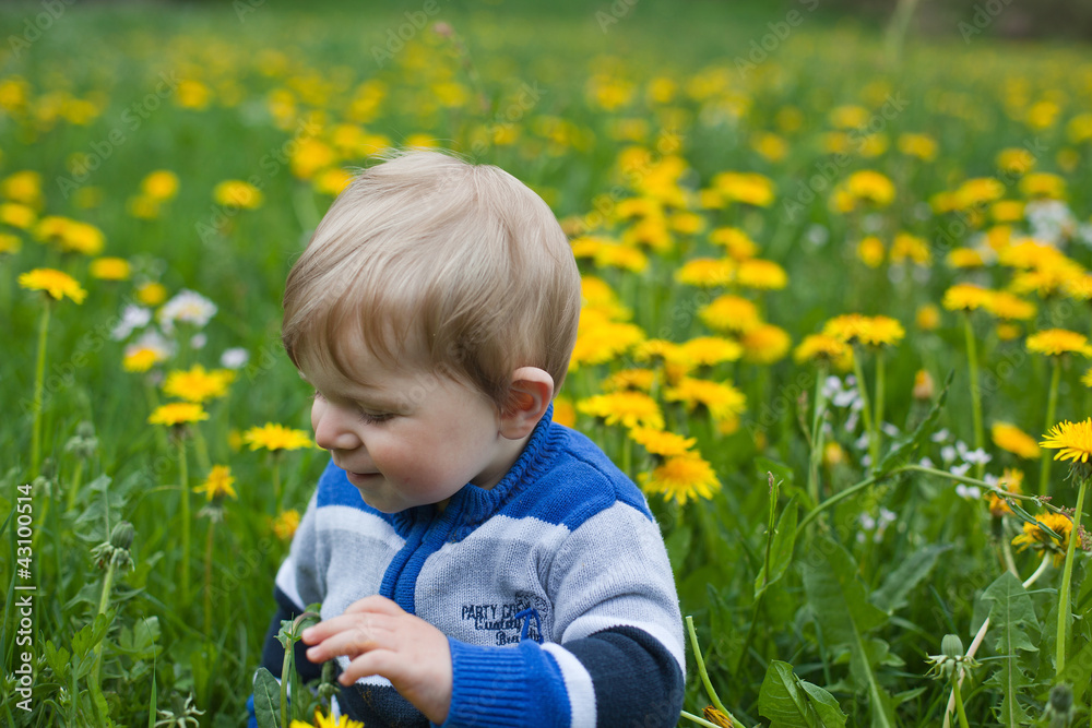 cute baby boy with blond hairs and blue eyes in yellow field cute baby boy with blond hairs and blue eyes in yellow field