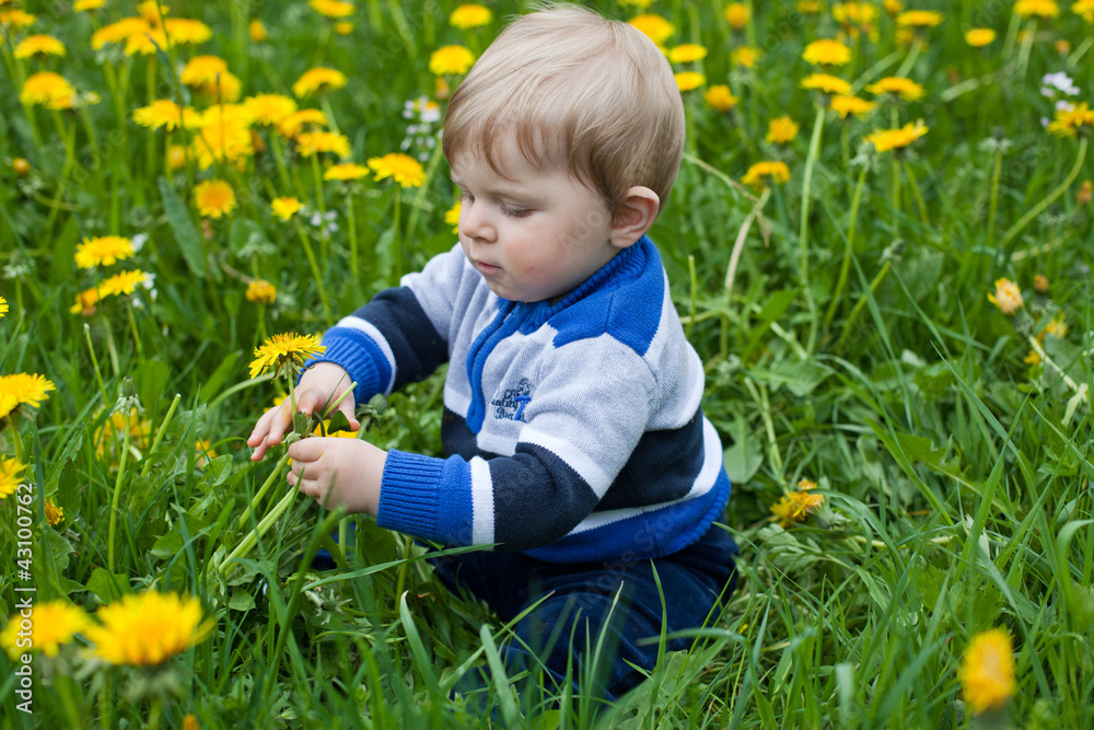 Cute blond boy playing dandelion field summer Cute blond boy playing dandelion field summer