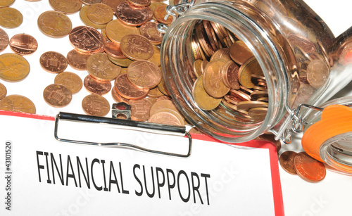 Принти на полотні Financial support