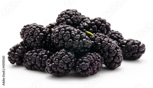 Heap of mulberry on white background
