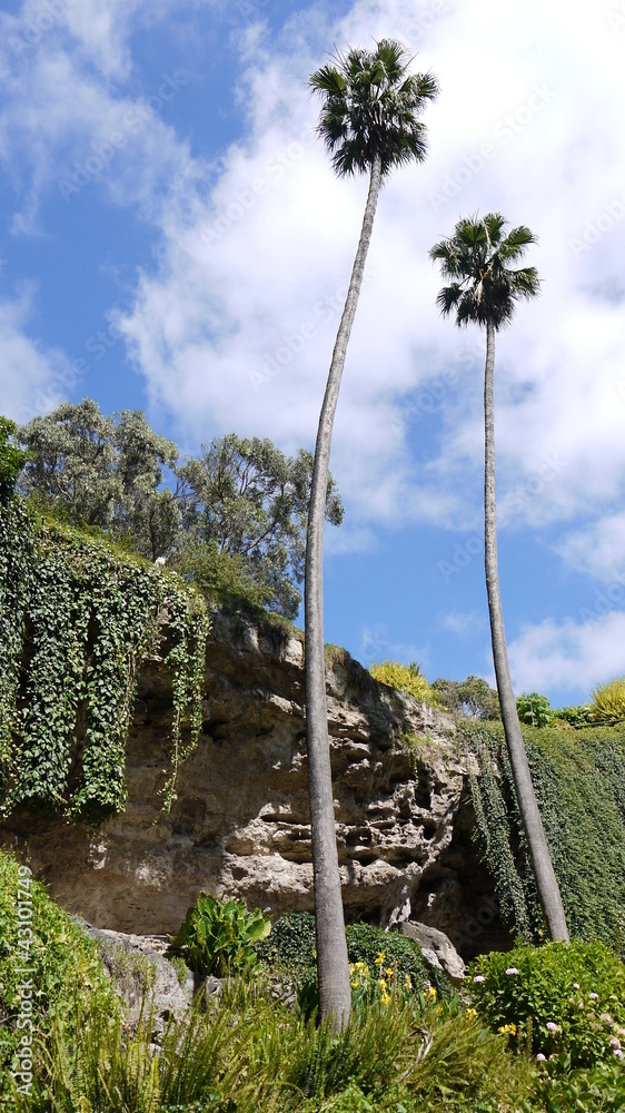 Fototapeta premium Bepflanzter Erdrutsch