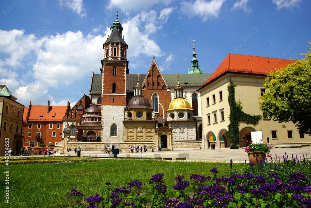 Fototapeta premium Katedra Wawelska, Wzgórze Wawelskie w Krakowie
