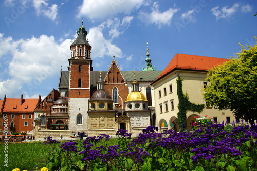 Wawel Cathedral, Wawel Hill in Cracow #43104569
