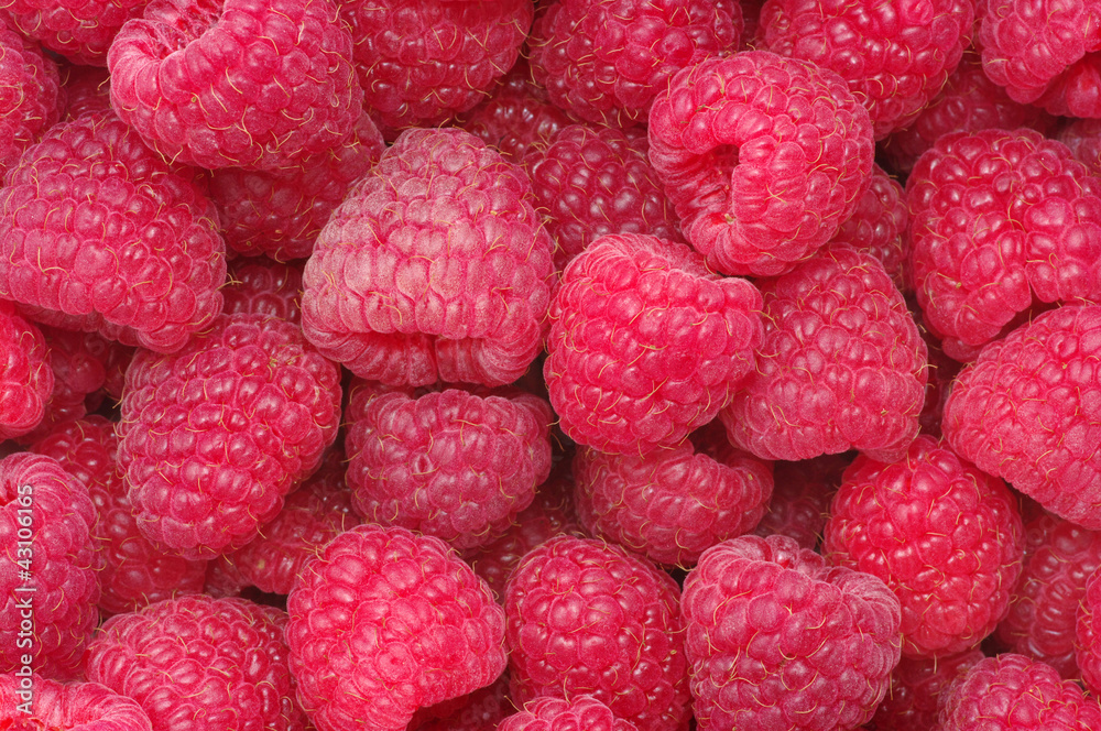 raspberry background raspberry background