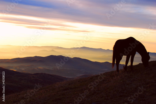 dawn in the mountains