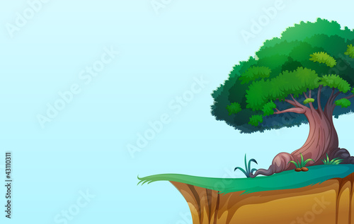 landscape