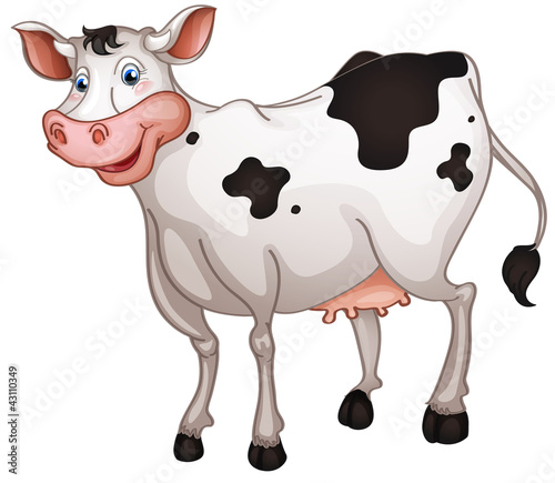 Cow
