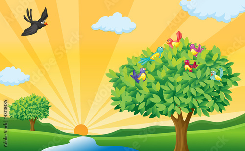 tree, birds and sun rays