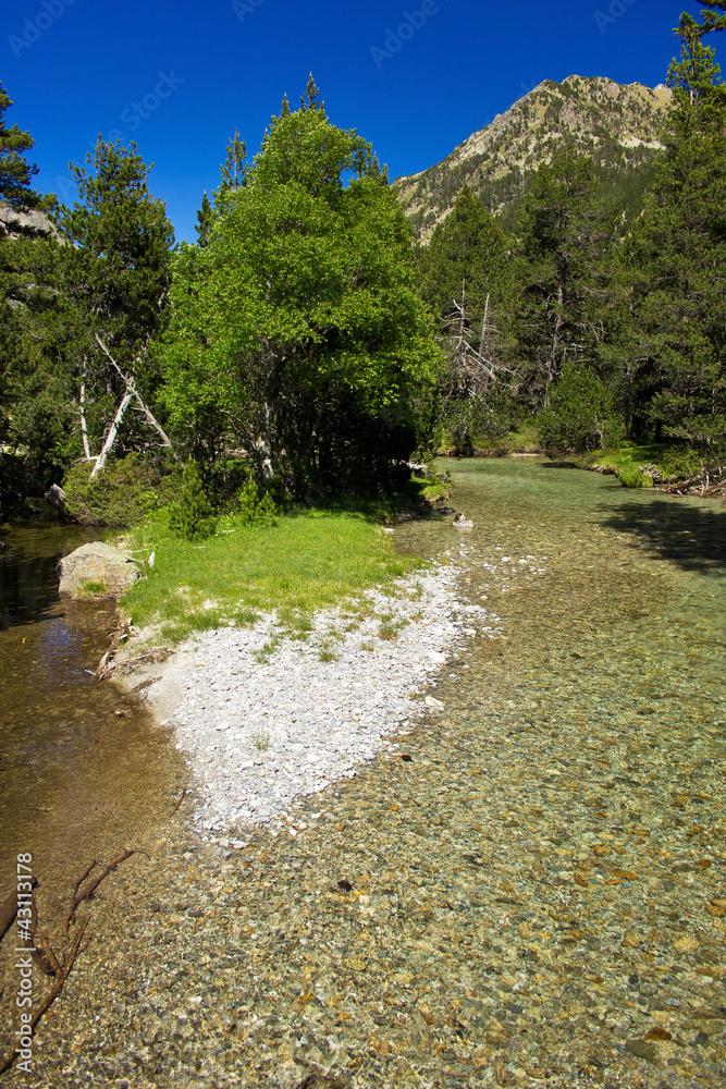 river in national park Aiguestortes i estany de Sant Maurici