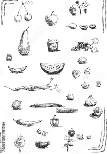 fruits and vegetables  hand drawing