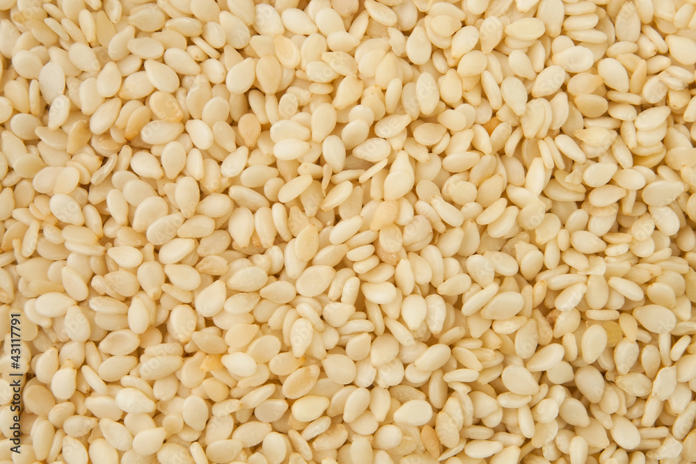sesame sesame