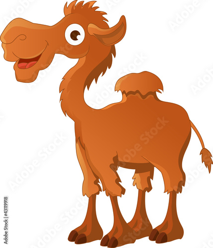 funny camel cartoon