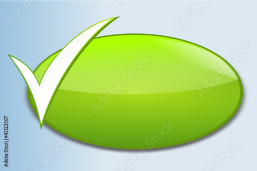 bouton web vierge vert