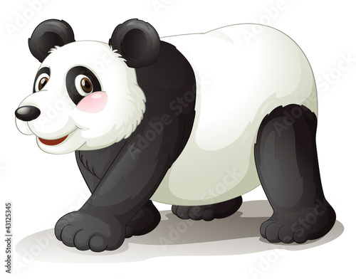 panda