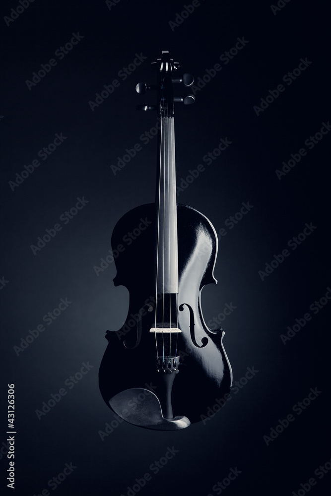 Fototapeta premium Elegant black violin