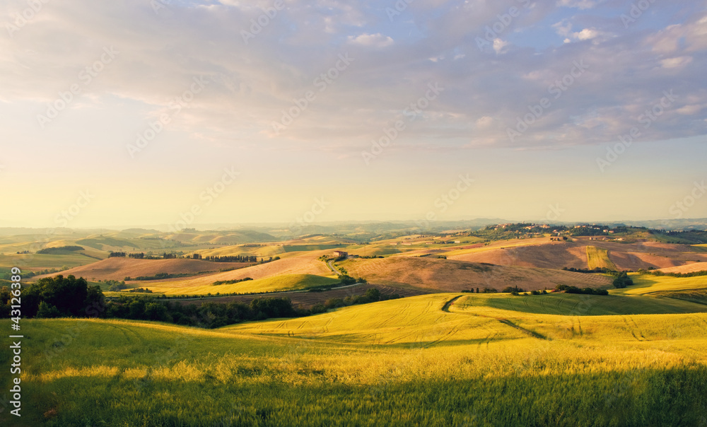 Fototapeta premium Tuscany landscape